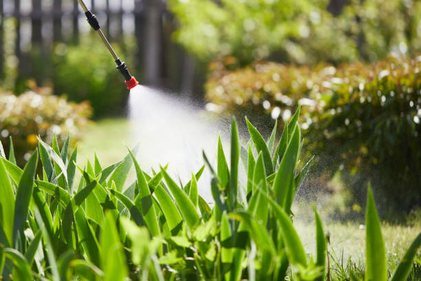24/7 Emergency Wasp Removal experts in Volcano Golf Course, HI